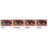 1Day Bi-Color contact lenses